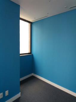 Pinturas internas